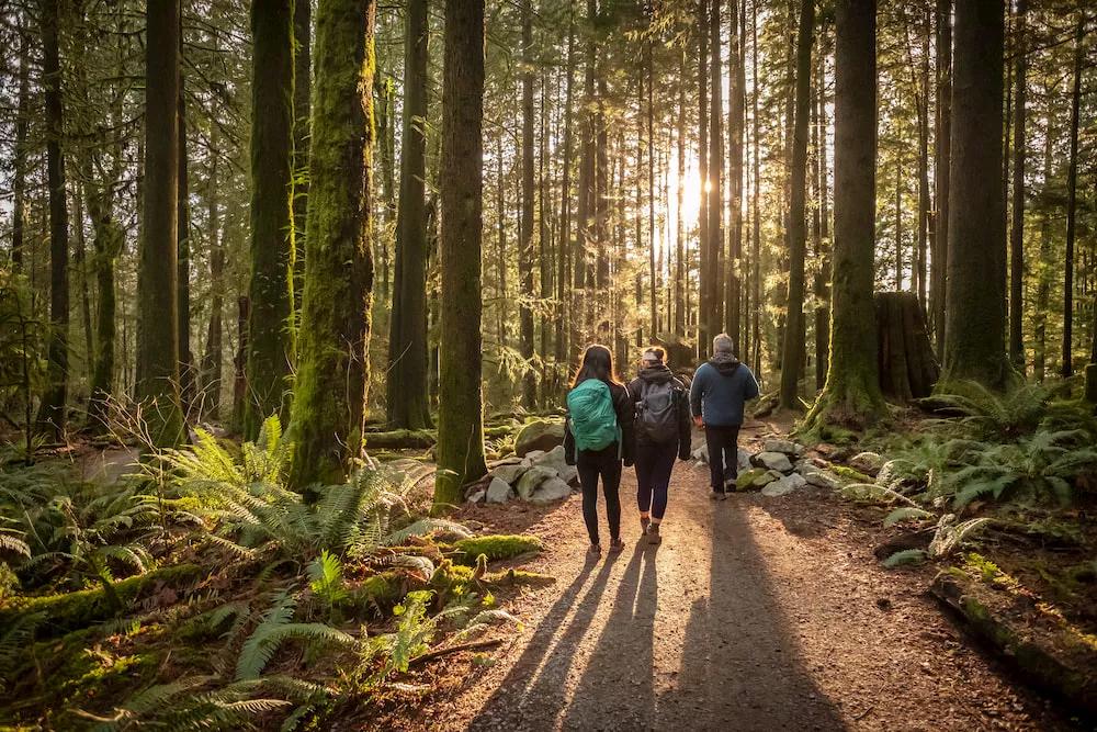 A guide to circular economy: what it is and why it's important