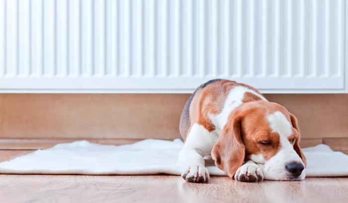  How to balance your radiators: a step-by-step guide