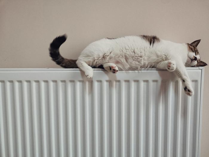 How to change a radiator valve: a step-by-step guide